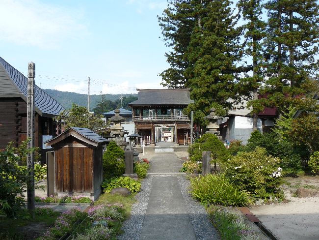 �V�P����