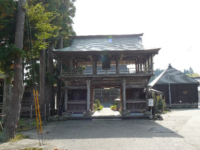 �V�P����