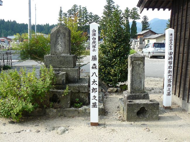 �V�P����