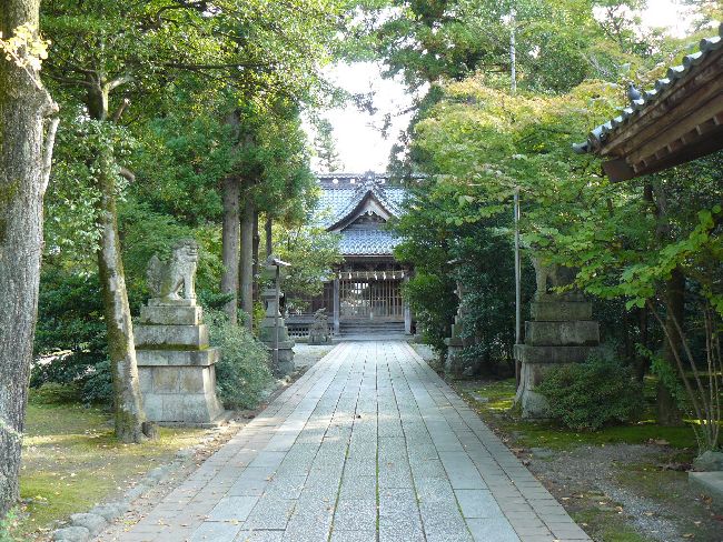 ���c�����_�{