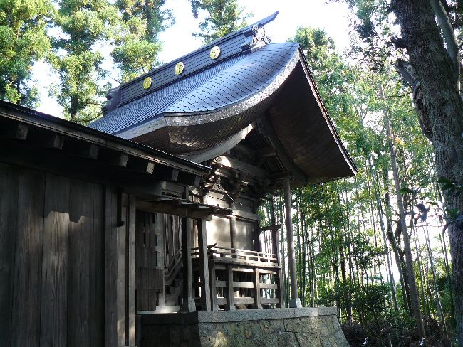 ���c�����_�{