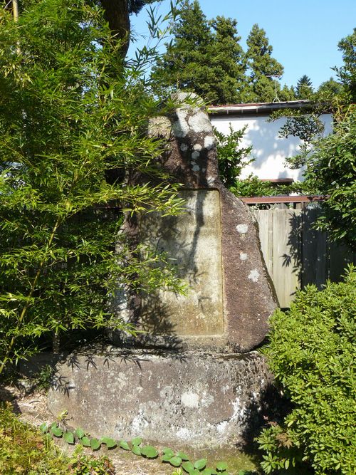 ���n�䕗��