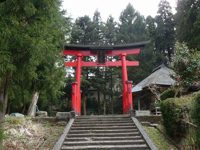 �t���_�Ђ̑咹��