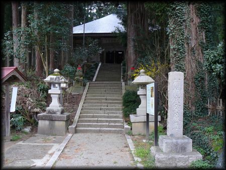 �ʏ����󑠑�