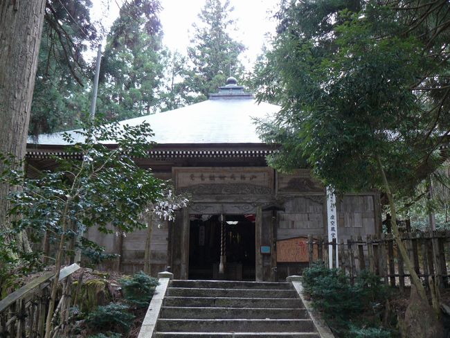 �ʏ����󑠑�