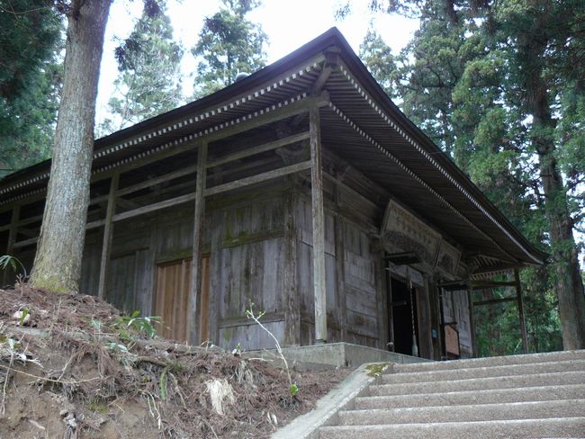 �ʏ����󑠑�