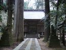 中山神社境内にある大木から垣間見える拝殿と石造狛犬