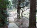 中山神社境内から見下ろした参道石段と大木