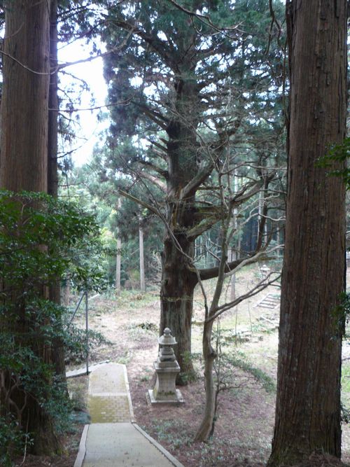 �ܐ�s�E���R�_��