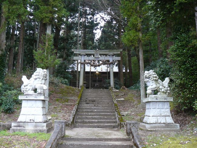 ��Ô����{