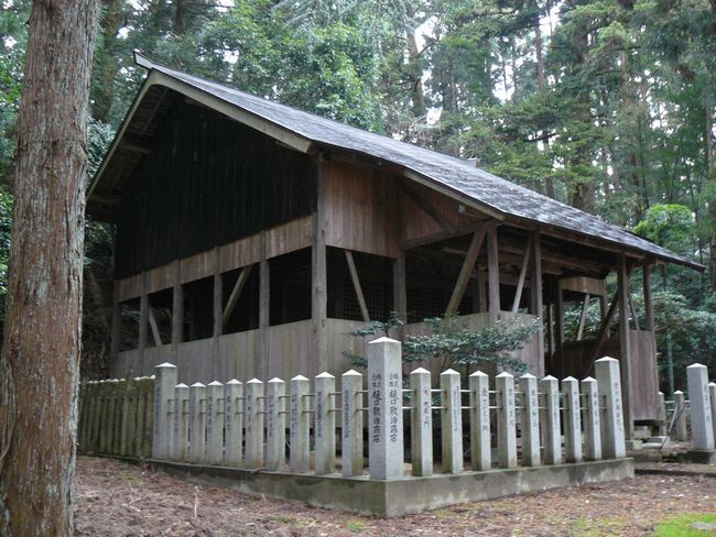 ��Ô����{