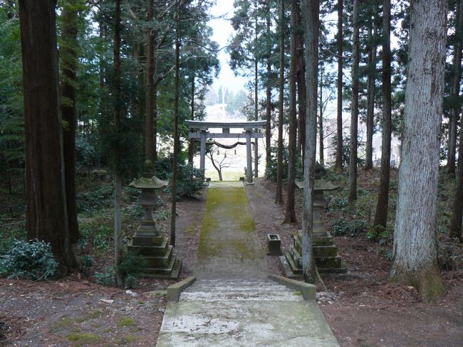 ��Ô����{