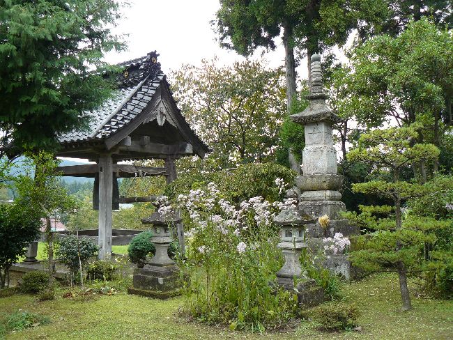 �������E����