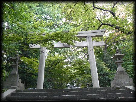 青海神社参道石段から見上げた石鳥居と石燈篭