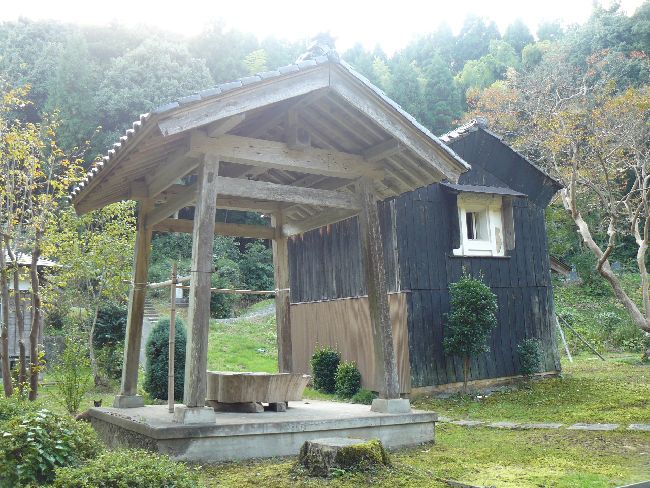 �������i�o�_�蒬�j