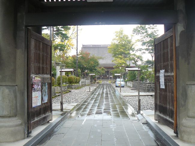 �򋻎��E�Q��