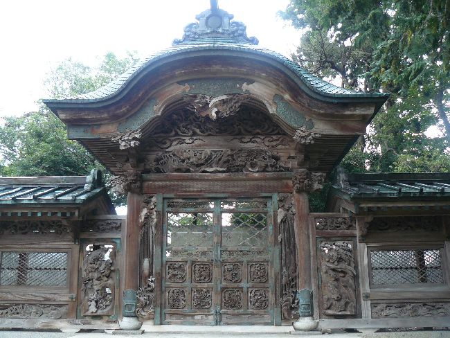 �򋻎��E�e�a���l��{�_