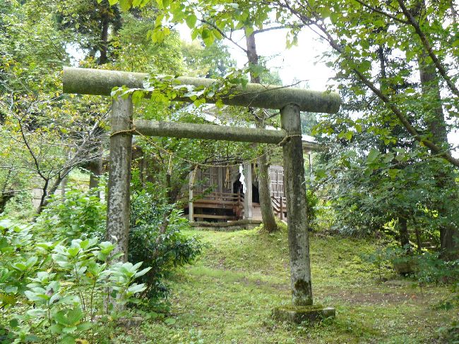 ��z�s�F��c�_��