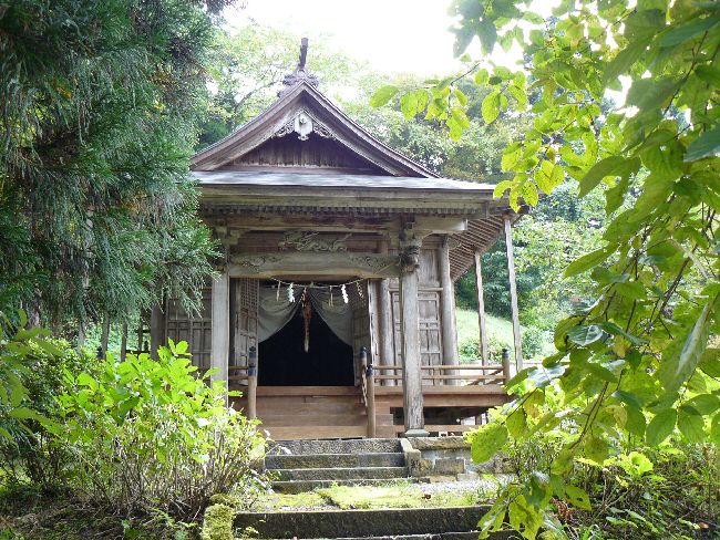 ��z�s�F��c�_��