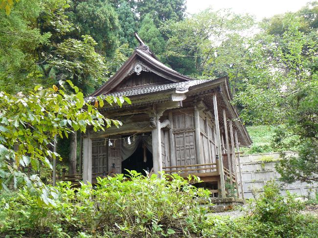 ��z�s�F��c�_��