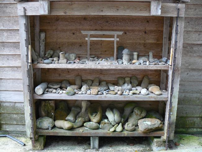 ��z�s�F��c�_��