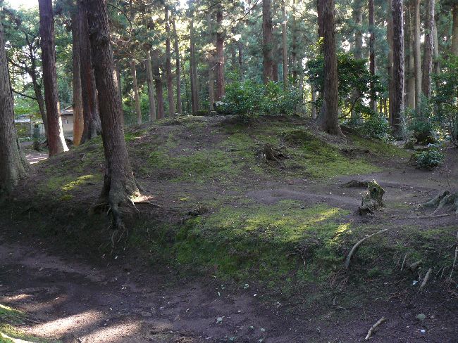 �����Õ�