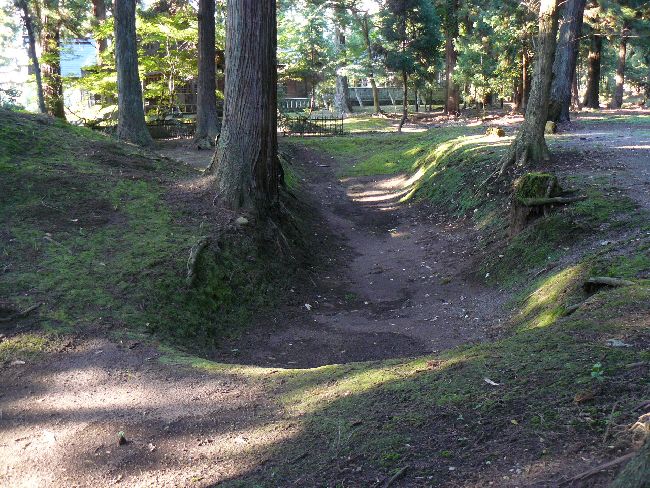 �����Õ�