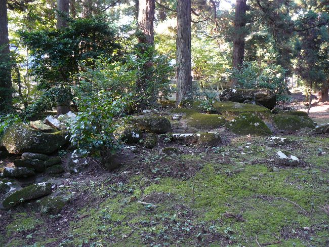 �����Õ�