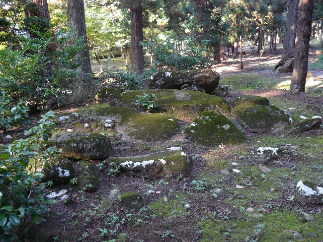 �����Õ�