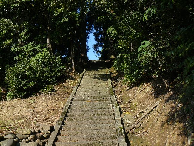 �����_��