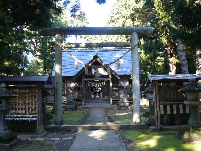 �����_��