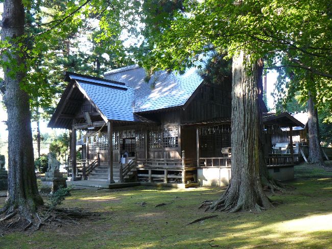 �����_��