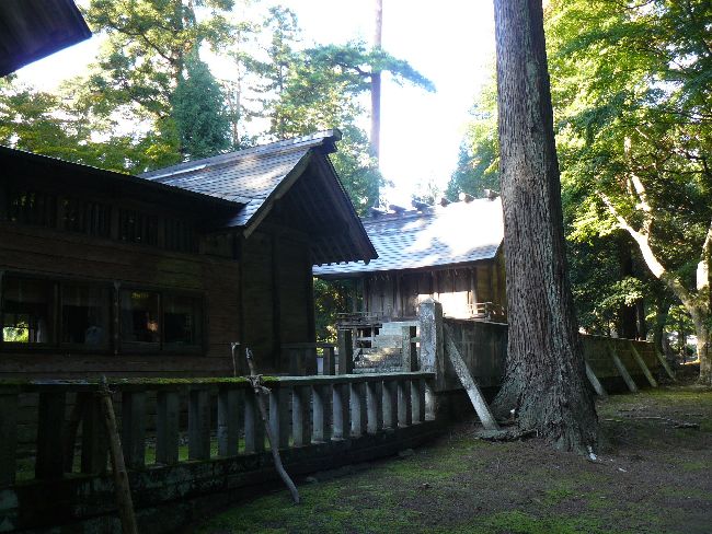 �����_��