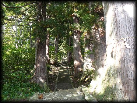 山寺薬師堂の歴史が感じられる長い苔むした石段と並木