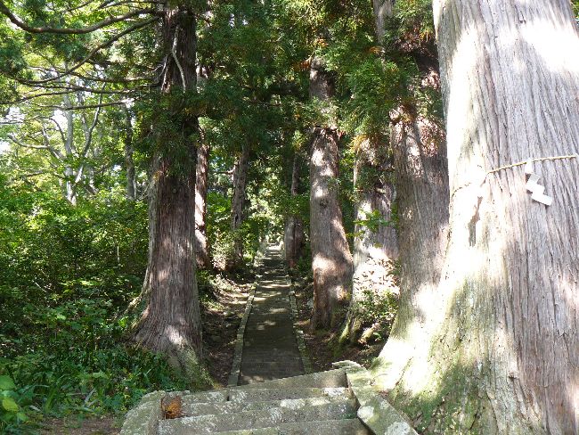 �R����t��