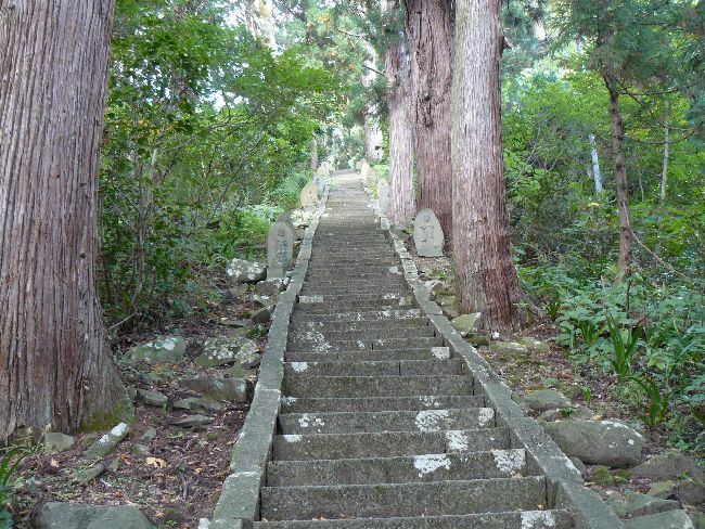 �R����t��