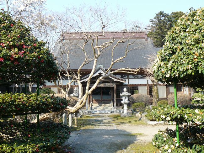 ����ˏ鉺���F���J��