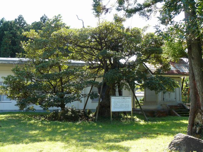 �O���R�ˁF������