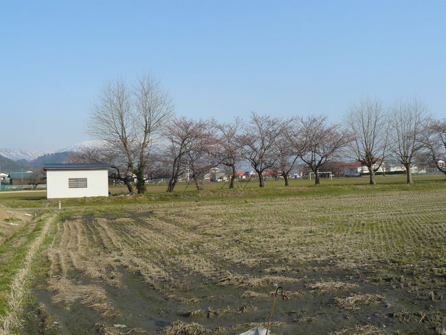 �O���s�ˏ鉺���F�O���s�w��