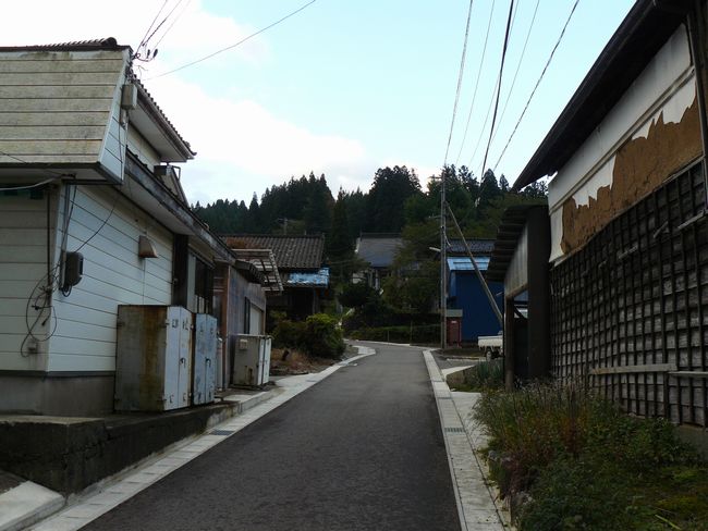 �o�H�X���F���C��h�i�߉��s�j-������