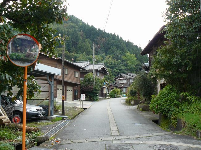 �o�H�X���F���p�h�i����s�j-������