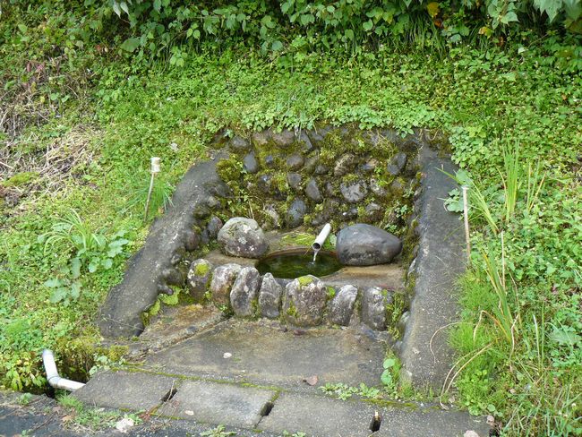 �o�H�X���F���p�h�i����s�j-������