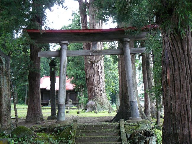 �����V�_��