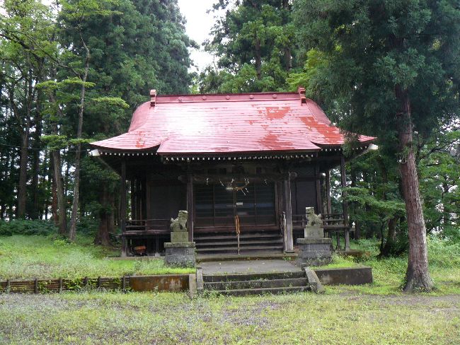 �����V�_��