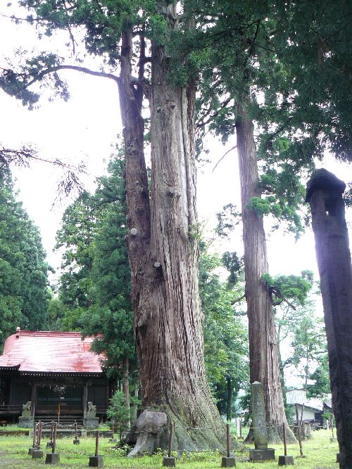 �����V�_��