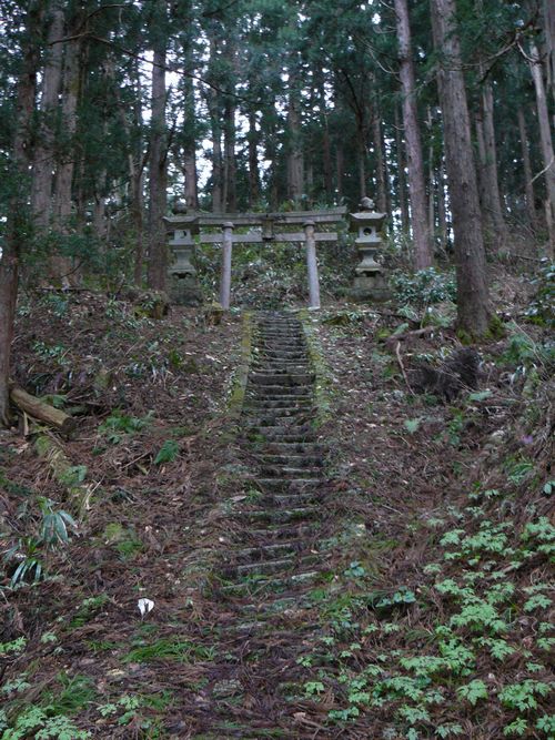 �����_�Ёi�{���j