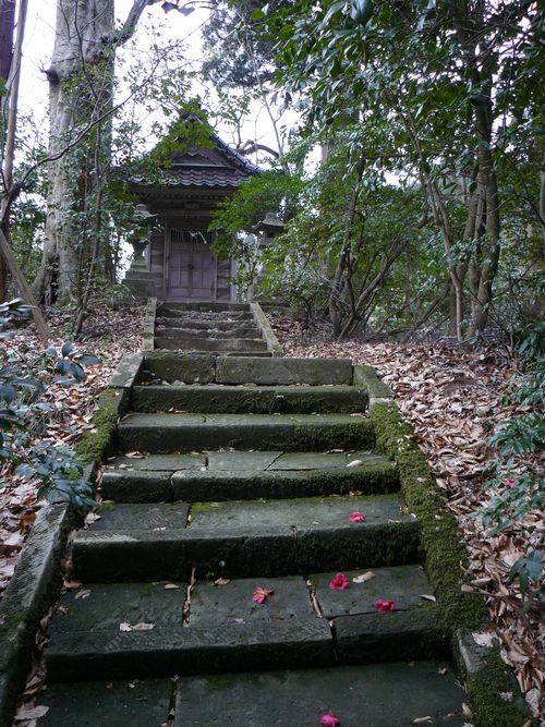 ���Ύs�E�����_�Ёi����j