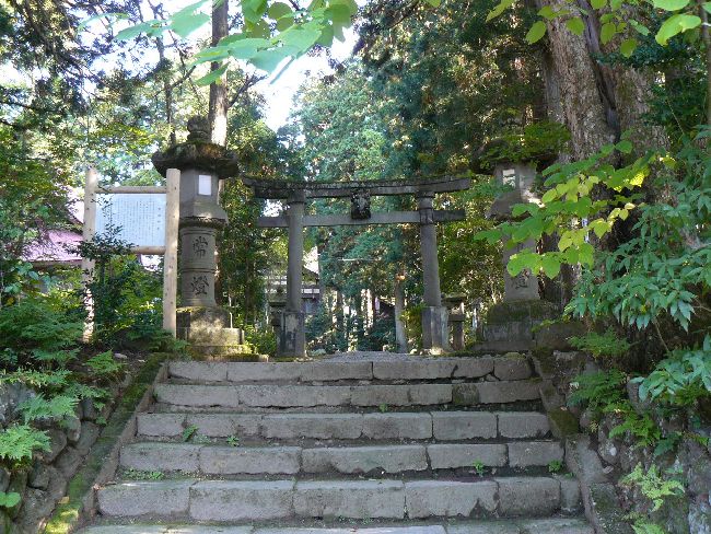 ���P�_��