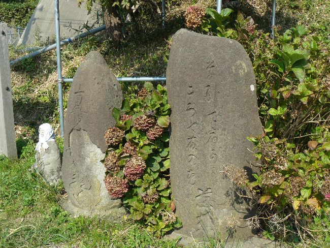 �ŒJ�ω���