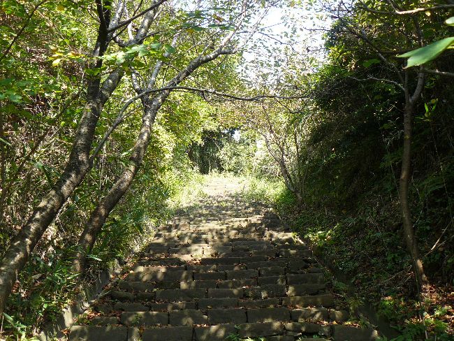 �ŒJ�ω���